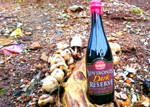 Lovibonds Dark Reserve No 4 beer